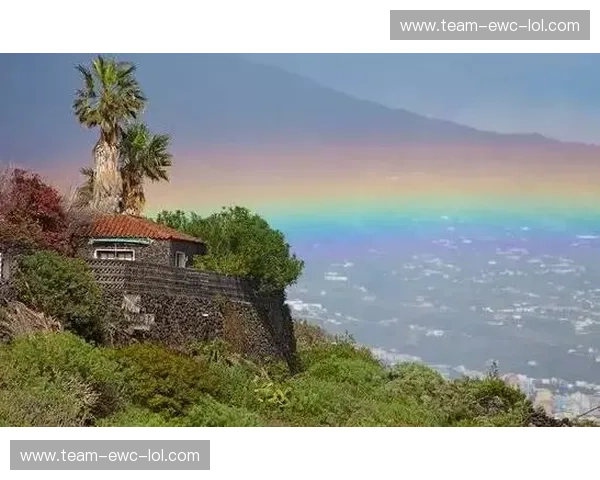 象牙海岸的宿命对决：加纳与多哥的绿茵恩怨